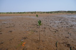 Environnement : le meilleur est AVENIR