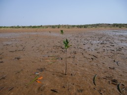 Environnement : le meilleur est AVENIR