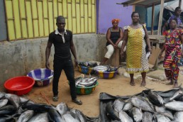 entrepreneuriat femmes Côte d'Ivoire