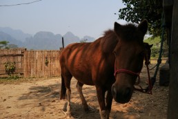 ecotourism in Laos