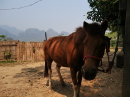 ecotourism in Laos