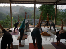 Mindfulfarm