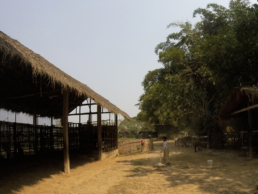 Ferme de poneys