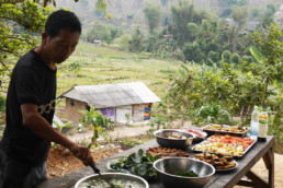 Volontariat à la Mindful Farm