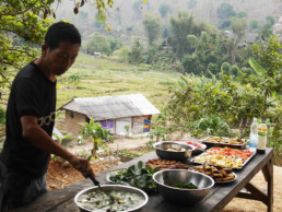 Volontariat à la Mindful Farm